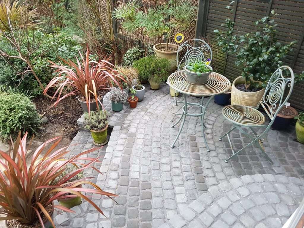Patio Creation