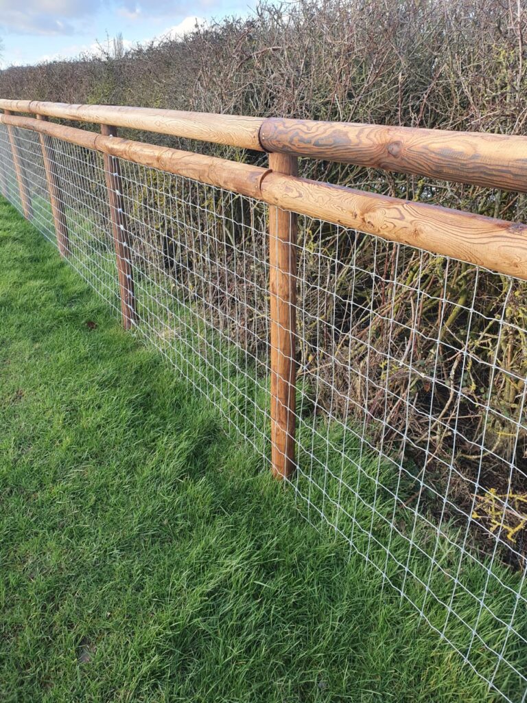 Paddock Maintenance