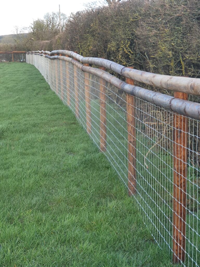 Paddock Maintenance