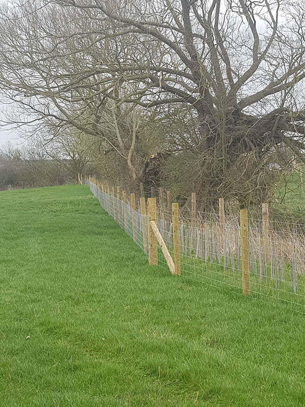 Land Management Land Management - Fencing – post & rail / stock fencing