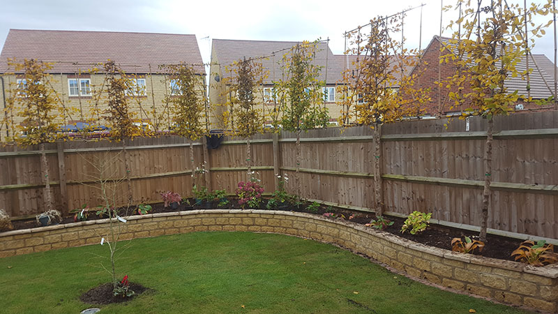 Fencing & Trellising